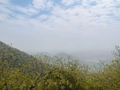 -杭州半山国家森林公园