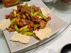 -鸢飞潍坊菜馆(鸢飞大酒店)