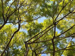 -厦门市图书馆(集美新城馆区)