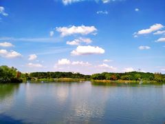 -昆山城市生态森林公园