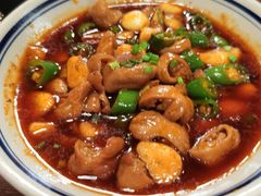 烧肥肠-望京一号·重庆江湖菜(工体店)