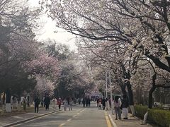 -吉林大学(南岭校区)