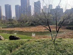 -重庆彩云湖湿地公园