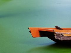 -渌洋湖湿地公园