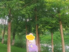 -洋湖国家湿地公园