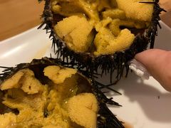 活海胆-海胆小馆(春柳店)