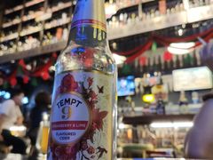 -阿拉道世界精酿啤酒坊(逸翠·尚府店)