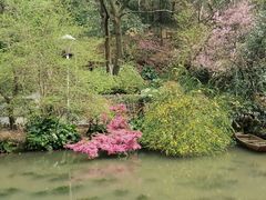 -黔灵山公园