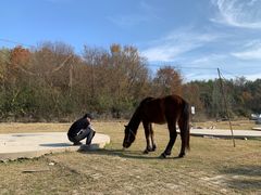-木兰云雾山
