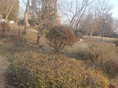 -祥源·阜阳生态乐园