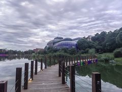 -大塘金香草谷
