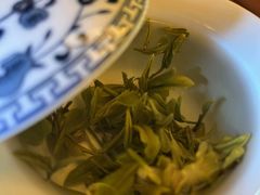 -大唐贡茶院
