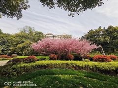 -南京钟山宾馆(江苏省会议中心)