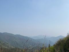 -木兰云雾山