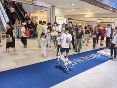 -凯德MALL(西直门店)