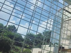 -上海外滩茂悦大酒店