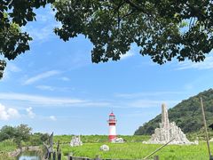 -花岙岛