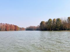 -上海海湾国家森林公园