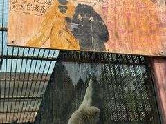 -昆明动物园