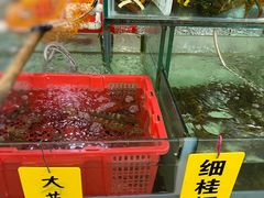 水产区-寻味顺德·南记酒家·传统顺德菜·鱼生(广源路店)