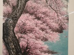 -江苏省美术馆(长江路新馆)