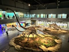 -自贡恐龙博物馆