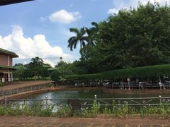 -侯臣咖啡文化村