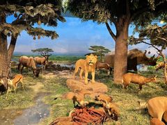 -国家自然博物馆