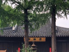 -常州古运河南大街文化旅游区-人民公园