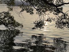 -东湖落雁景区