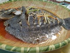 -四海蒸鲜蒸汽海鲜自助(北戴河店)