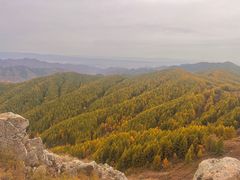 -苏木山森林公园