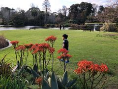 -墨尔本皇家植物园