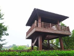 -长兴太湖图影湿地文化园