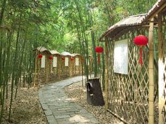 -同里国家湿地公园