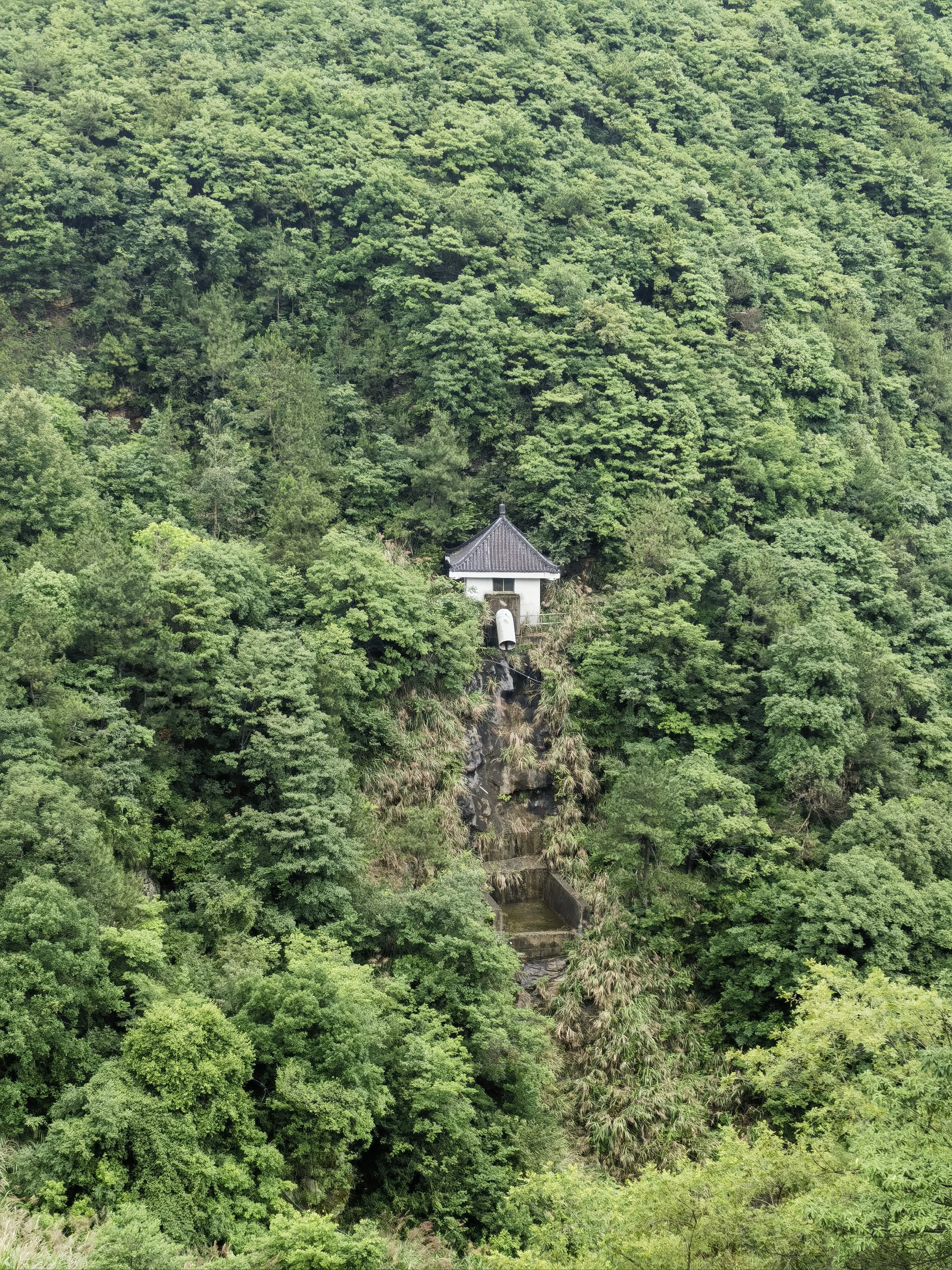 在半山腰的房子