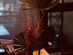 -太极禅苑