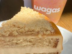 -Wagas沃歌斯(富力广场店)
