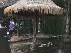 -呀路古热带植物园
