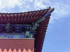 -醉得意·山茶油炒土鸡(泰安万达店)