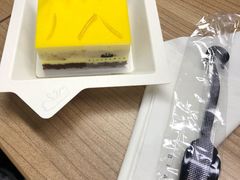 -BLACKSWAN黑天鹅(环球店)