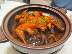 -华膳楼·安徽地标美食·中华餐饮名店(文化公园店)