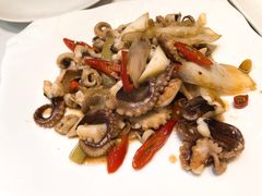 辣炒八爪鱼-东莱海上(长宁来福士店)