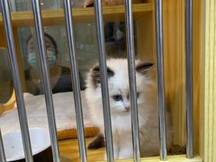 -三旗百汇商品城