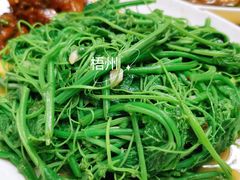 蒜蓉炒佛手瓜叶-粤友餐厅