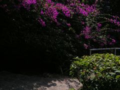-鸿山公园