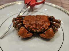 -新光酒家·河豚·海鲜·蟹料理(浦东店)
