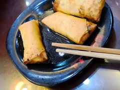炸春卷-蔡先生(双阳路店)