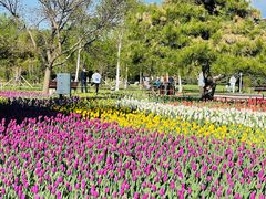 -长春公园(普阳街道)