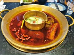 -杨家火锅(国美店)